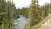 PICTURES/Jasper National Park - Alberta Canada/t_River.JPG